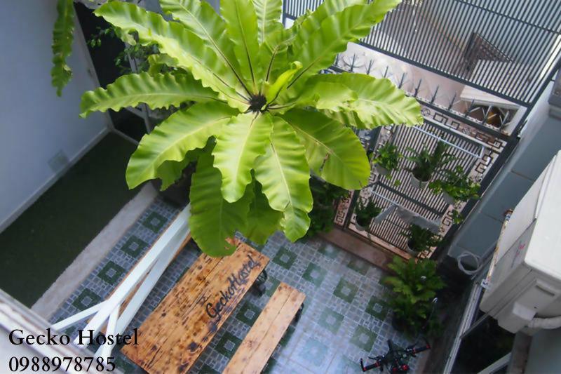 Gecko Hostel (Adults Only) Vung Tau Luaran gambar